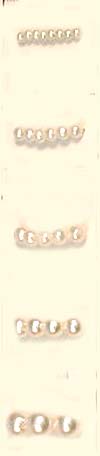 Gem stone bead wholesale, fashion white pearl beads
